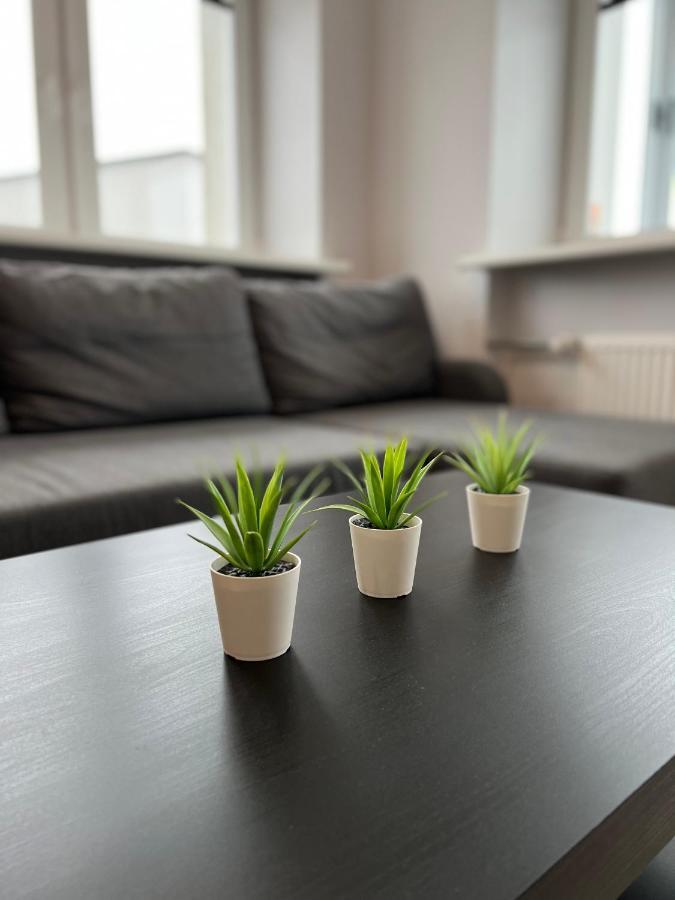 Akmene Center Apartment Naujoji Akmene Buitenkant foto